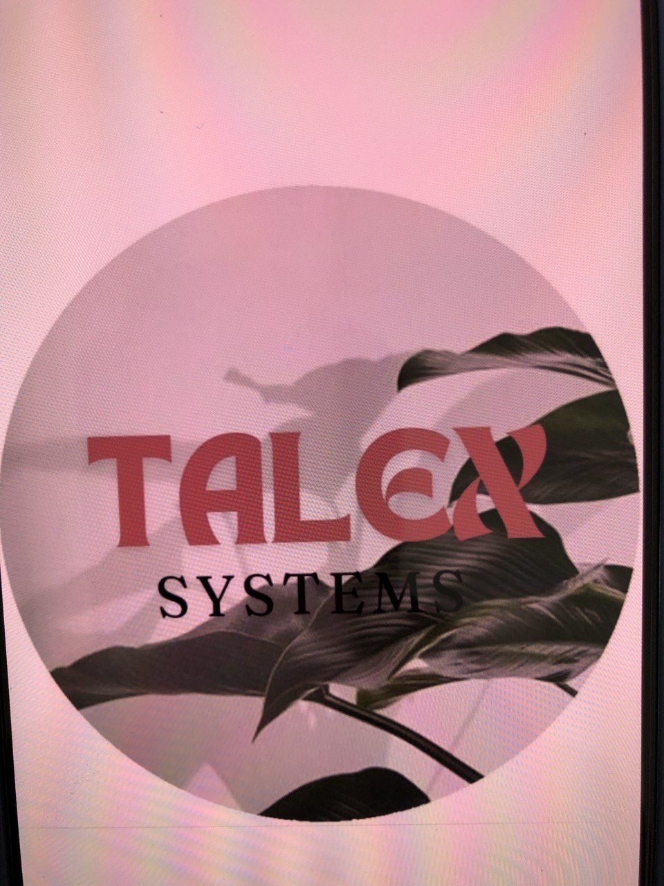 Talex Systems S.L.